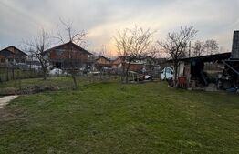 Casă 100 mp în Satul Nou de Sus, 8 ari, garaj