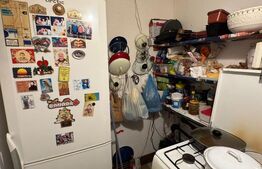 Casă 100 mp în Satul Nou de Sus, 8 ari, garaj