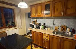 Casă 100 mp în Satul Nou de Sus, 8 ari, garaj