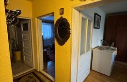 Casă 100 mp în Satul Nou de Sus, 8 ari, garaj