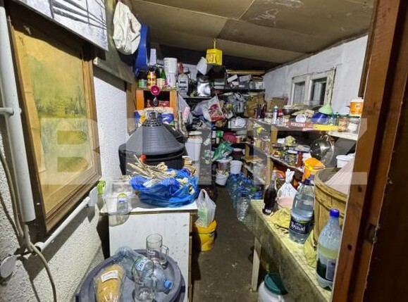 Casa de vânzare 3 camere Satu Nou de Sus - 189478CV | BLITZ Baia Mare | Poza16