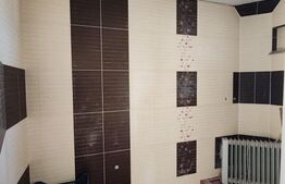 Casă semifinisată | Lăpușel – 23 ari teren | Ideală pentru familie