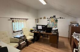 🏡 Vilă premium | 315 mp construiți | Teren 1.600 mp | 5 dormitoare | Saună 