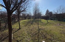 🏡 Vilă premium | 315 mp construiți | Teren 1.600 mp | 5 dormitoare | Saună 