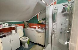 🏡 Vilă premium | 315 mp construiți | Teren 1.600 mp | 5 dormitoare | Saună 