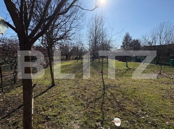 Casa de vânzare 5 camere Sacalaseni - 189503CV | BLITZ Baia Mare | Poza19