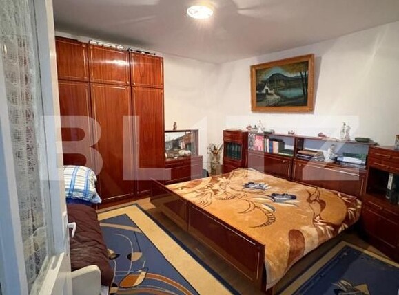 Casa de vânzare 5 camere Sacalaseni - 189503CV | BLITZ Baia Mare | Poza13