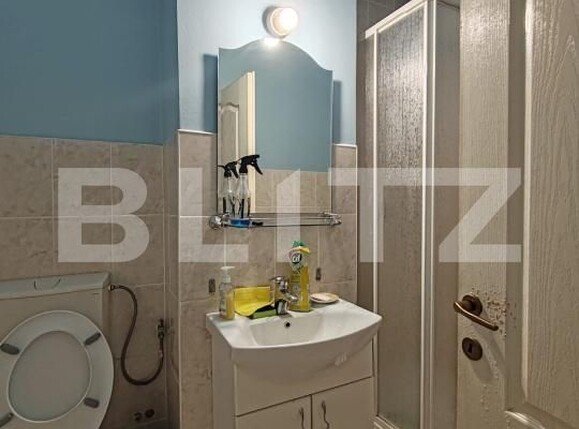 Spațiu comercial de vânzare Central - 189696SVC | BLITZ Baia Mare | Poza6