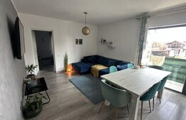 Apartament 2 camere, 47 mp, zona Valea Borcutului