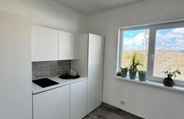 Casă P+E 2023 în Dumbrăvița, 102 mp, teren 7.8 ari, mobilată