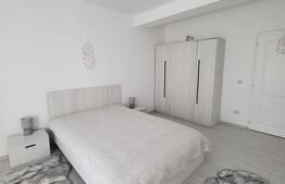 Casă P+E 2023 în Dumbrăvița, 102 mp, teren 7.8 ari, mobilată