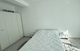 Casă P+E 2023 în Dumbrăvița, 102 mp, teren 7.8 ari, mobilată