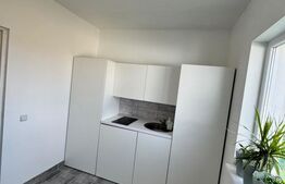 Casă P+E 2023 în Dumbrăvița, 102 mp, teren 7.8 ari, mobilată