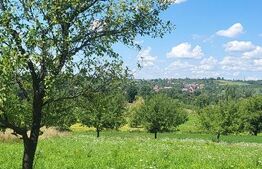 Casă P+E 2023 în Dumbrăvița, 102 mp, teren 7.8 ari, mobilată