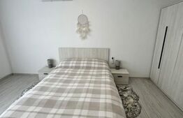 Casă P+E 2023 în Dumbrăvița, 102 mp, teren 7.8 ari, mobilată