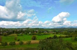 Casă P+E 2023 în Dumbrăvița, 102 mp, teren 7.8 ari, mobilată