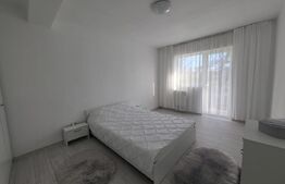 Casă P+E 2023 în Dumbrăvița, 102 mp, teren 7.8 ari, mobilată