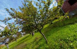 Casă P+E 2023 în Dumbrăvița, 102 mp, teren 7.8 ari, mobilată