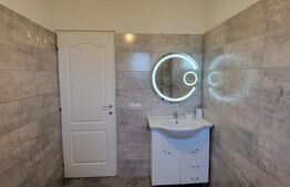 Casă P+E 2023 în Dumbrăvița, 112 mp, teren 7.8 ari, mobilată