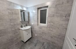 Casă P+E 2023 în Dumbrăvița, 102 mp, teren 7.8 ari, mobilată
