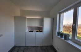 Casă P+E 2023 în Dumbrăvița, 102 mp, teren 7.8 ari, mobilată