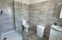 Casă P+E 2023 în Dumbrăvița, 102 mp, teren 7.8 ari, mobilată