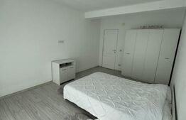Casă P+E 2023 în Dumbrăvița, 102 mp, teren 7.8 ari, mobilată