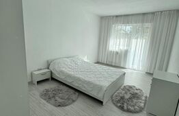 Casă P+E 2023 în Dumbrăvița, 102 mp, teren 7.8 ari, mobilată