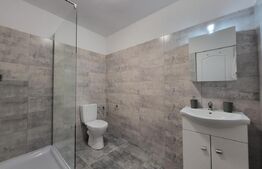 Casă P+E 2023 în Dumbrăvița, 102 mp, teren 7.8 ari, mobilată