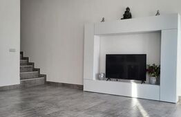 Casă P+E 2023 în Dumbrăvița, 102 mp, teren 7.8 ari, mobilată