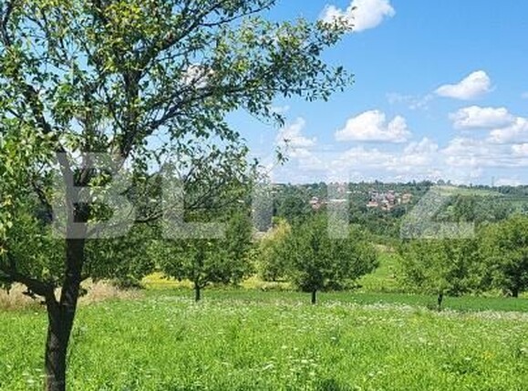 Casa de vânzare 3 camere Dumbravita - 189936CV | BLITZ Baia Mare | Poza7