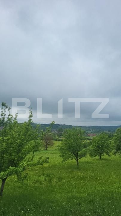 Casa de vânzare 3 camere Dumbravita - 189936CV | BLITZ Baia Mare | Poza6