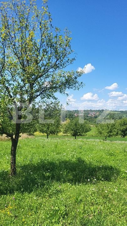 Casa de vânzare 3 camere Dumbravita - 189936CV | BLITZ Baia Mare | Poza7