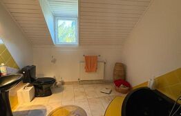 Vilă D+P+M cu piscină și saună, 5 camere, 290 mp, teren 15 ari, panoramă superbă