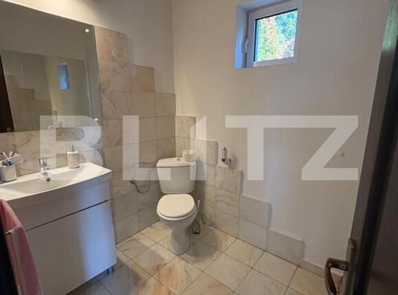Casa de vânzare 5 camere Valea Borcutului - 189968CV | BLITZ Baia Mare | Poza8