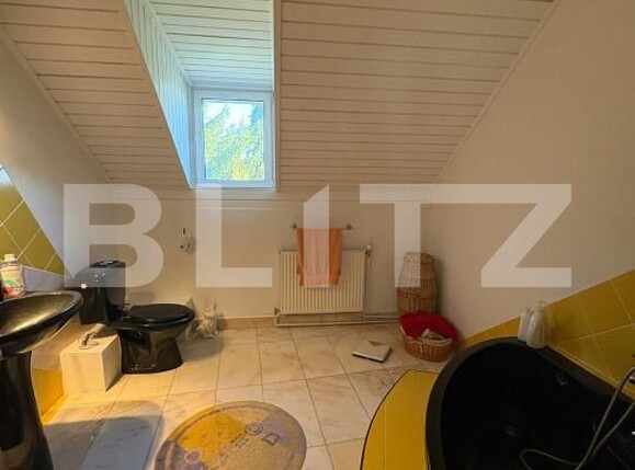 Casa de vânzare 5 camere Valea Borcutului - 189968CV | BLITZ Baia Mare | Poza5