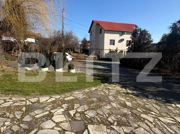 Casa de vânzare 5 camere Valea Borcutului - 189968CV | BLITZ Baia Mare | Poza7