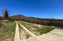 Casa de vanzare, 134 mp, teren 1300 mp, zona Vest