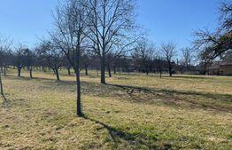 Teren de vânzare Satu Nou de Sus, Baia Mare