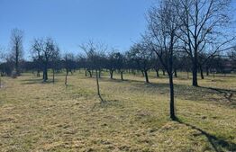 Teren 50 ari în Satu Nou de Sus – utilități la teren, parcelabil, investitie