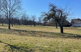 Teren 50 ari în Satu Nou de Sus – utilități la teren, parcelabil, investitie