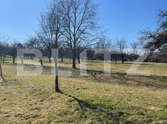 Teren de vânzare Satu Nou de Sus - 190167TV | BLITZ Baia Mare | Poza1