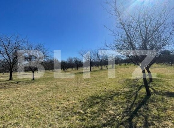 Teren de vânzare Satu Nou de Sus - 190167TV | BLITZ Baia Mare | Poza3