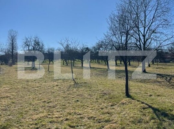 Teren de vânzare Satu Nou de Sus - 190167TV | BLITZ Baia Mare | Poza2