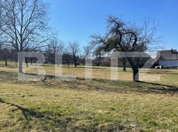 Teren de vânzare Satu Nou de Sus - 190167TV | BLITZ Baia Mare | Poza4