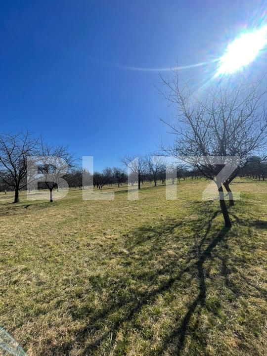 Teren de vânzare Satu Nou de Sus - 190167TV | BLITZ Baia Mare | Poza3