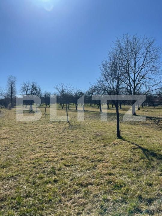 Teren de vânzare Satu Nou de Sus - 190167TV | BLITZ Baia Mare | Poza2