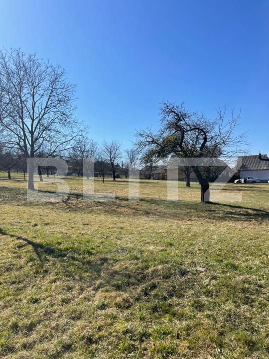 Teren de vânzare Satu Nou de Sus - 190167TV | BLITZ Baia Mare | Poza4