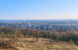 Teren intravilan de vânzare, 734 mp, zona Valea Borcutului - Baia Mare