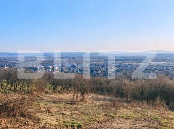 Teren de vânzare Valea Borcutului - 190261TV | BLITZ Baia Mare | Poza1